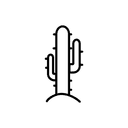 Kaktus